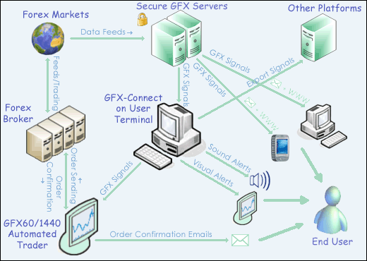 Automated Forex Trading System