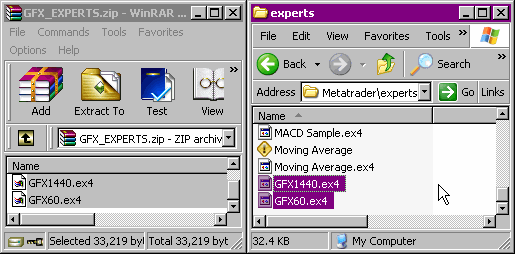 Expert Advisors GFX60/1440 Installation and Use - Click to magnify Expert Advisors GFX60/1440 Installation